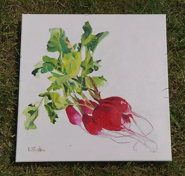 Ewa Słodzińska - 1 bunch of radishes