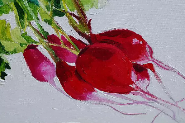 Ewa Słodzińska - 1 bunch of radishes