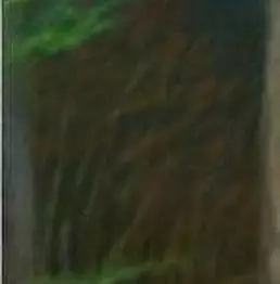 Jan Rusnok - Landscape 2010-3