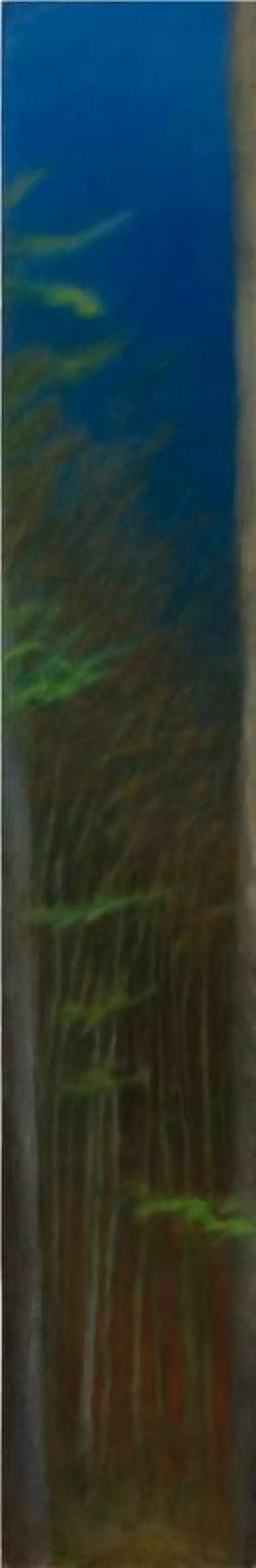 Jan Rusnok - Landscape 2010-3