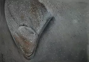 Andrzej Siewierski - Landscape -Kamienie