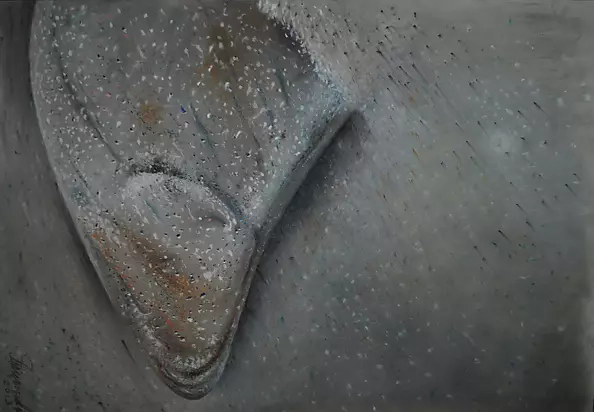 Andrzej Siewierski - Pejzaż -Kamienie