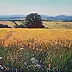 Wojciech Pater - Summer Landscape II
