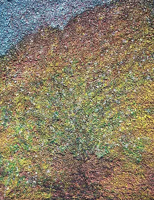 Antonina Radzięda - Landscape abstraction