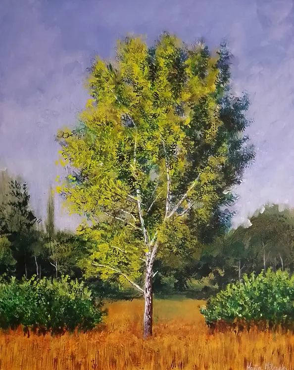 Marta Milewska - Birch landscape