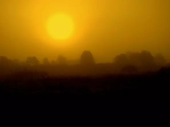 Tadeusz Czarnecki - Landscape on the other side of fairy tales IV, 2020