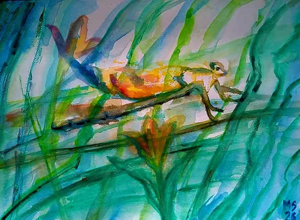 Marzena Salwowska - Pejzaż z istotą typu ważka/Trawa i kwiat 20