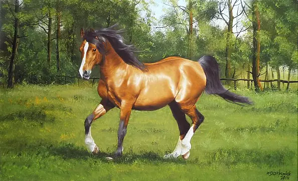 Marek Szczepaniak - Landscape with horse # 1