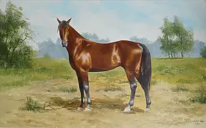 Marek Szczepaniak - Pejzaż z koniem #2