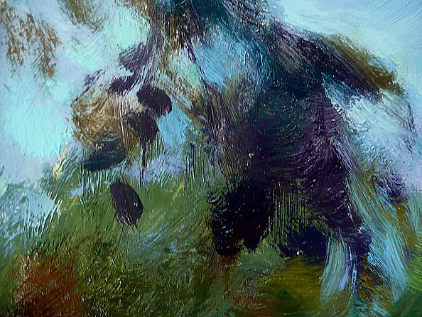 Barbara Gulbinowicz - Pejzaż z zachodem słońca