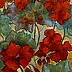 Krystyna Ruminkiewicz - geraniums II