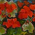 Krystyna Ruminkiewicz - geraniums