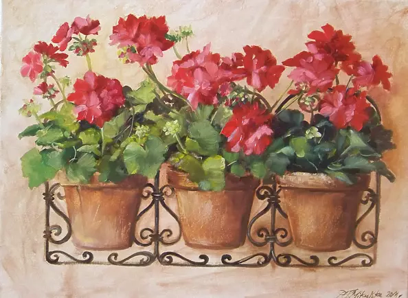 Patrycja Kruszyńska Mikulska - geraniums