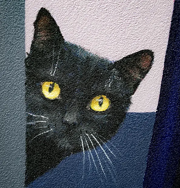 Nataliya Bagatskaya - Full Moon