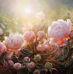 Zbigniew Kopania - Peonie nella rugiada del mattino
