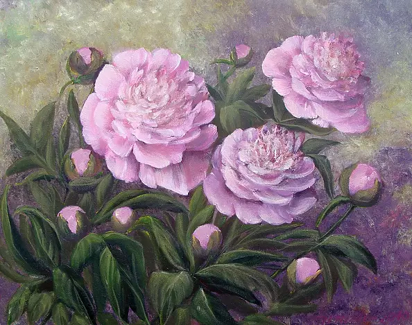 Małgorzata Mutor -  Peonies