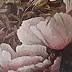 anna kowalska - Peony I
