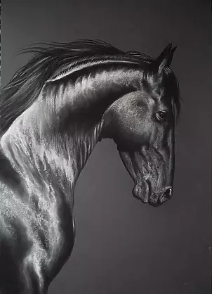 Robert Chełchowski - Performer66 Friesian