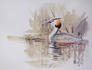 Zdzisław Rutkowski - Perkoz III