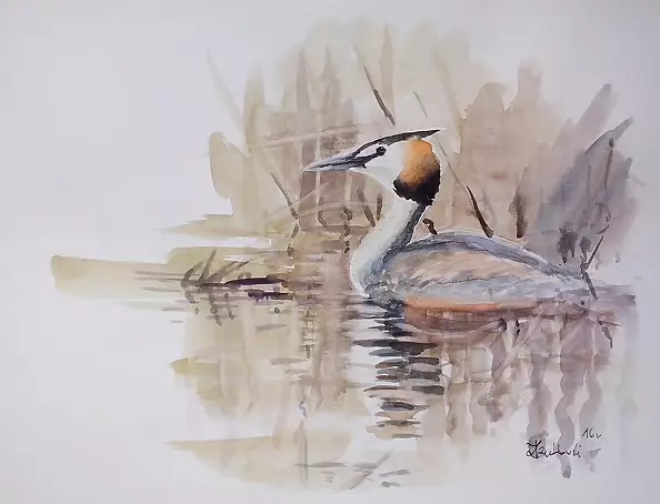 Zdzisław Rutkowski - Perkoz III