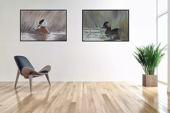 Agnieszka Mantaj - Red-necked Grebe