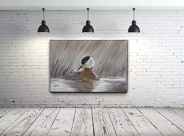 Agnieszka Mantaj - Red-necked Grebe