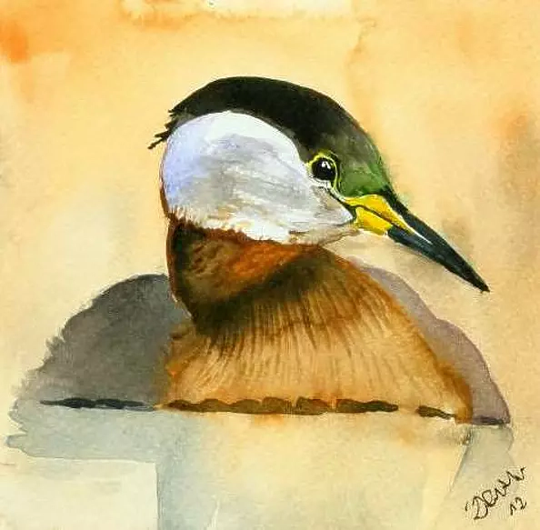 Zdzisław Rutkowski - Red-necked Grebe