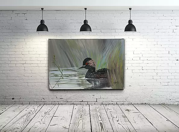 Agnieszka Mantaj - Black-necked Grebe