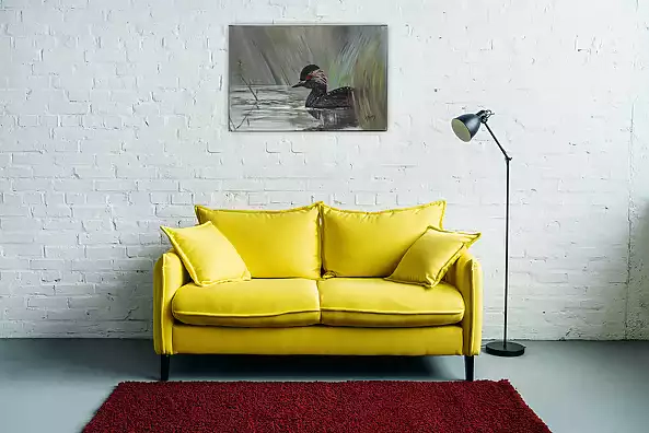 Agnieszka Mantaj - Black-necked Grebe