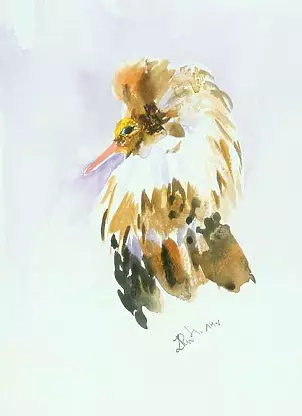 Zdzisław Rutkowski - Philomachus pugnax X