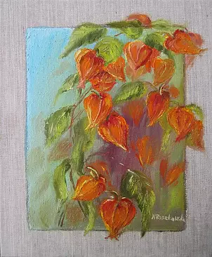   - Tomatillo in the garden