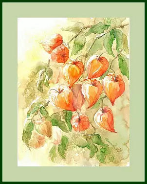 Maria Roszkowska - tomatillo