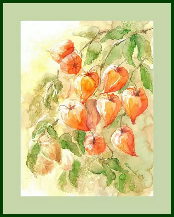 Maria Roszkowska - tomatillo