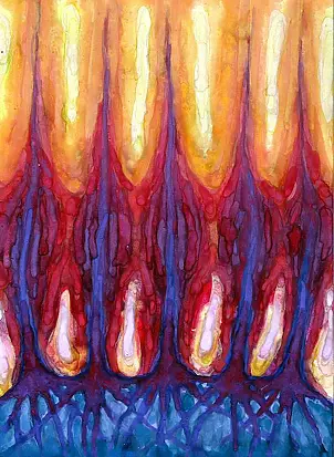 Wojtek Kowalski - Bake