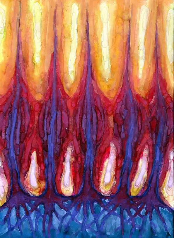 Wojtek Kowalski - Bake