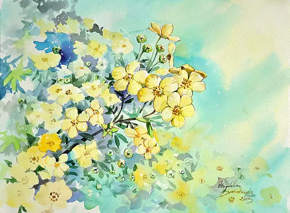 Magdalena Bronakowska - cinquefoil