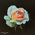 Jolanta Oczko - Une belle rose