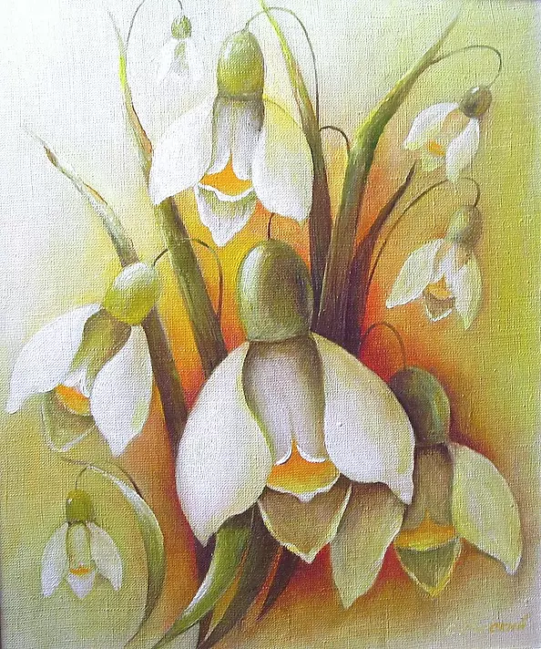 Stanisław Górski - primroses