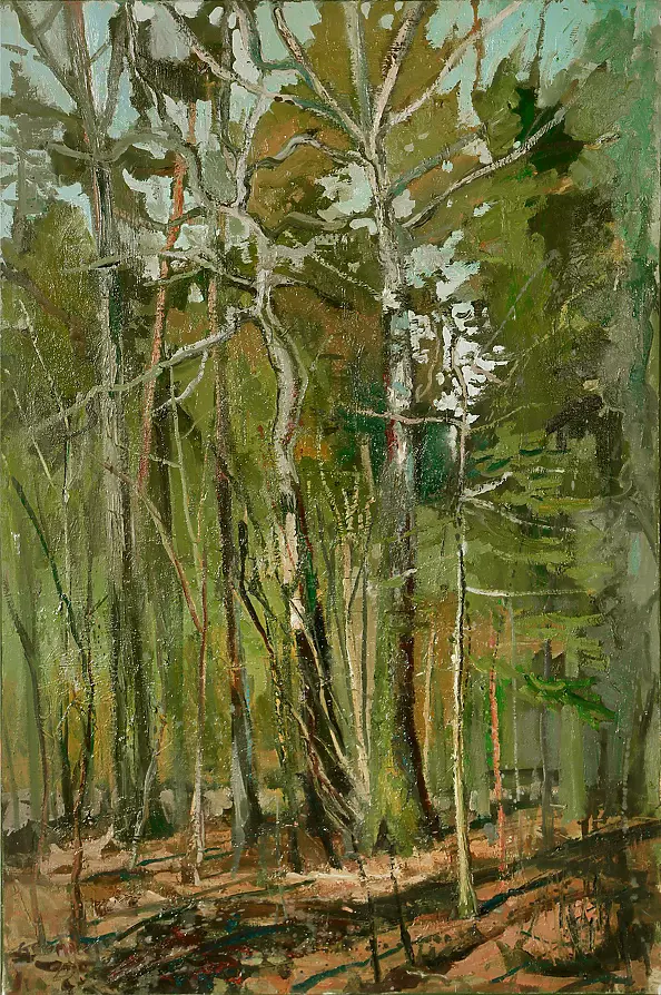 Daniel Gromacki - The Primeval Forest