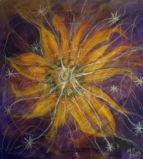 Marzena Salwowska - The first or maybe second sunflower in space