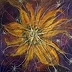Marzena Salwowska - The first or maybe second sunflower in space