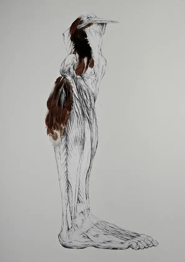 Wiesław Teofilak, First step - METABODY ART, Other, Pencil, Mixed media - cardboard/paperboard, 70 x 100