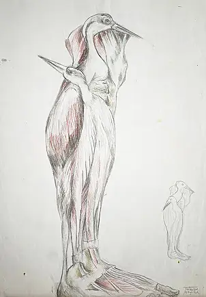 Wiesław Teofilak, Primo passo schizzo, Altre, pastello, Matita, Tecniche miste - carta, 21 x 30