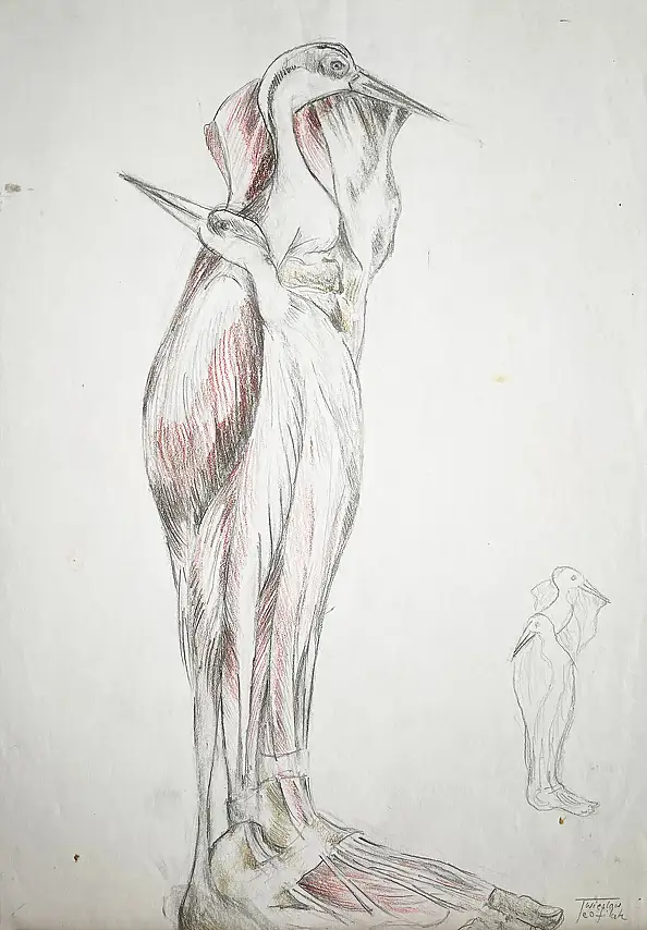 Wiesław Teofilak, Primo passo schizzo, Altre, pastello, Matita, Tecniche miste - carta, 21 x 30