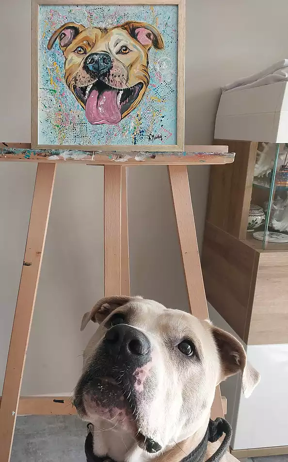 Agnieszka Mantaj - TTB Dog