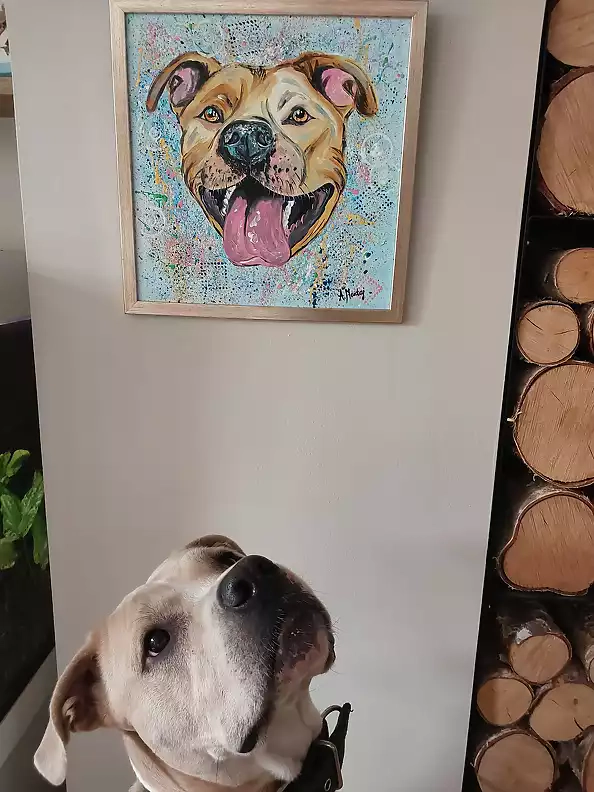 Agnieszka Mantaj - TTB Dog