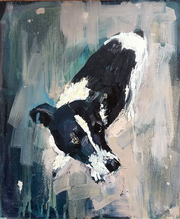 Doma Suszczyńska - Dog