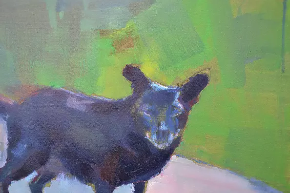 Doma Suszczyńska - Pies