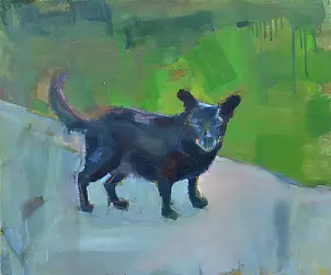 Doma Suszczyńska - Dog