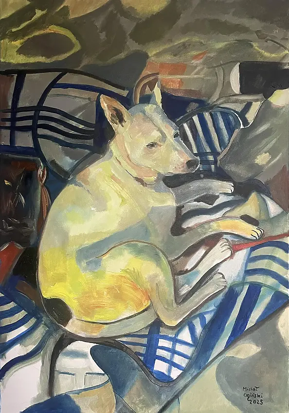 Michał Ogiński - A dog lying on a Baltic beach during sunset